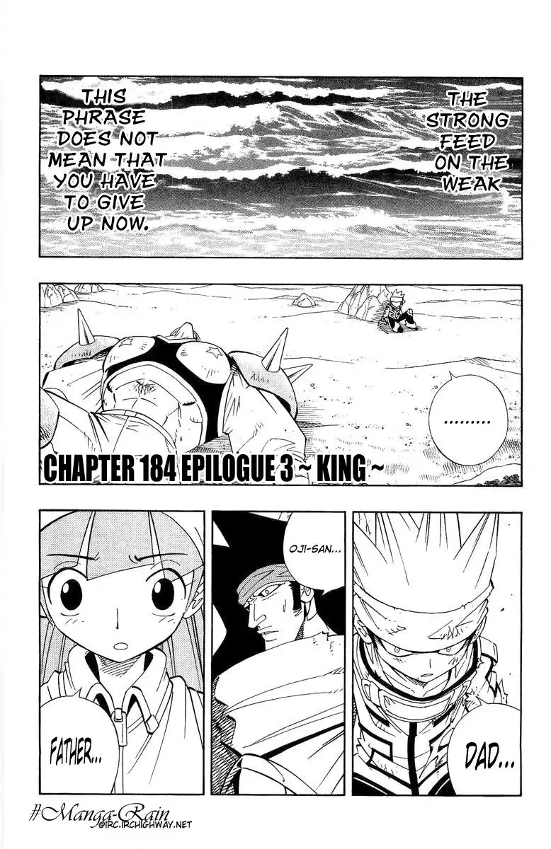 Shaman King Chapter 184 3